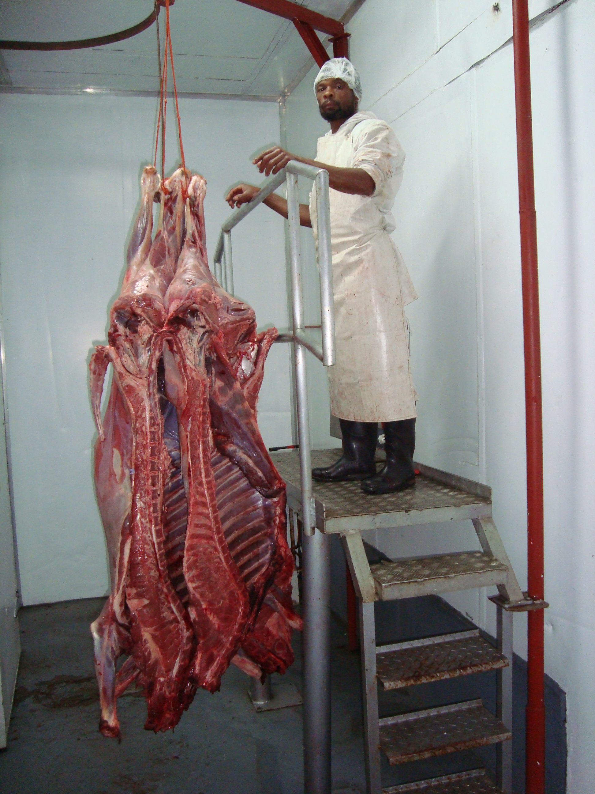 Game Meat Trader